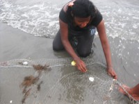 /album/fotogaleria/a214-jpg/