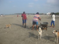 /album/fotogaleria/img-8339-jpg/