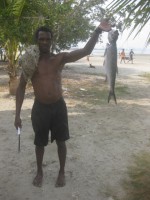 /album/fotogaleria/img-8390-jpg/