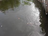 /album/fotogaleria/cimg5195-jpg/