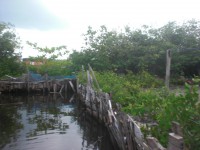 /album/fotogaleria/cimg5196-jpg/