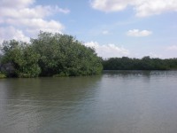 /album/fotogaleria/cimg5225-jpg/