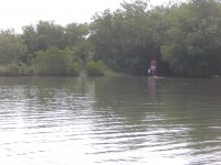 /album/fotogaleria/cimg5228-jpg/