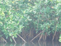 /album/fotogaleria/cimg5232-jpg/