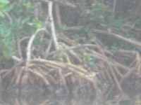 /album/fotogaleria/cimg5233-jpg/