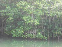 /album/fotogaleria/cimg5234-jpg/