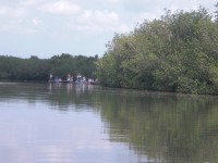 /album/fotogaleria/cimg5236-jpg/