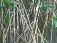 /album/fotogaleria/cimg5237-jpg/