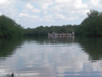 /album/fotogaleria/cimg5238-jpg/