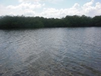 /album/fotogaleria/cimg5246-jpg/