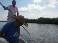 /album/fotogaleria/cimg5247-jpg/