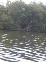 /album/fotogaleria/cimg5256-jpg/