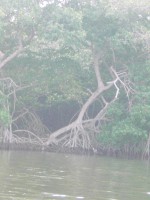 /album/fotogaleria/cimg5257-jpg/