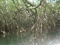 /album/fotogaleria/cimg5259-jpg/