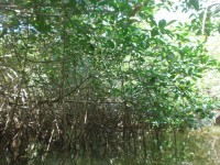 /album/fotogaleria/cimg5260-jpg/