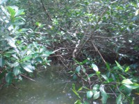 /album/fotogaleria/cimg5261-jpg/