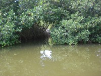 /album/fotogaleria/cimg5263-jpg/