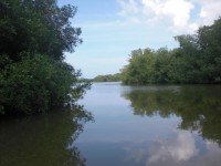 /album/fotogaleria/cimg5264-jpg/