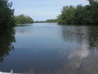 /album/fotogaleria/cimg5266-jpg/