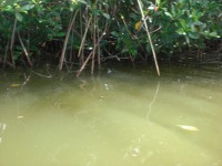 /album/fotogaleria/cimg5268-jpg/