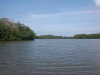 /album/fotogaleria/cimg5269-jpg/