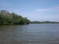 /album/fotogaleria/cimg5271-jpg/