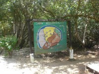 /album/fotogaleria/cimg5275-jpg/